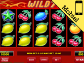 Wild 7 Fruits slot